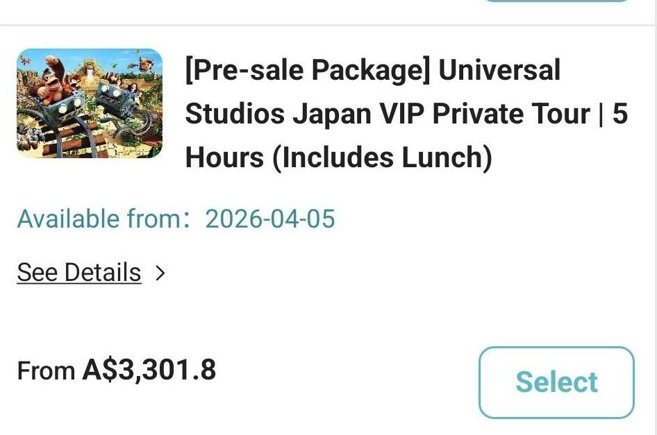 Universal Studios Japan VIP Pre-Sale Tour Beginners Guide